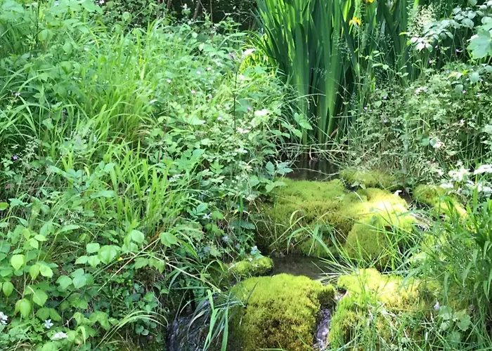 Domaine St Germer 酒店 Reilly