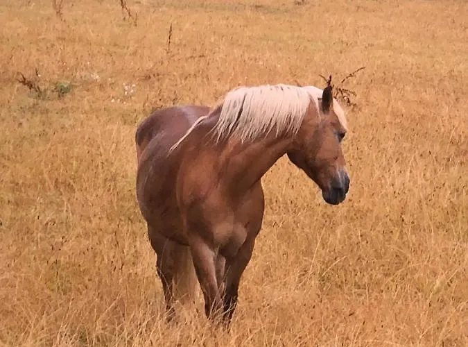 酒店 Domaine St Germer Reilly